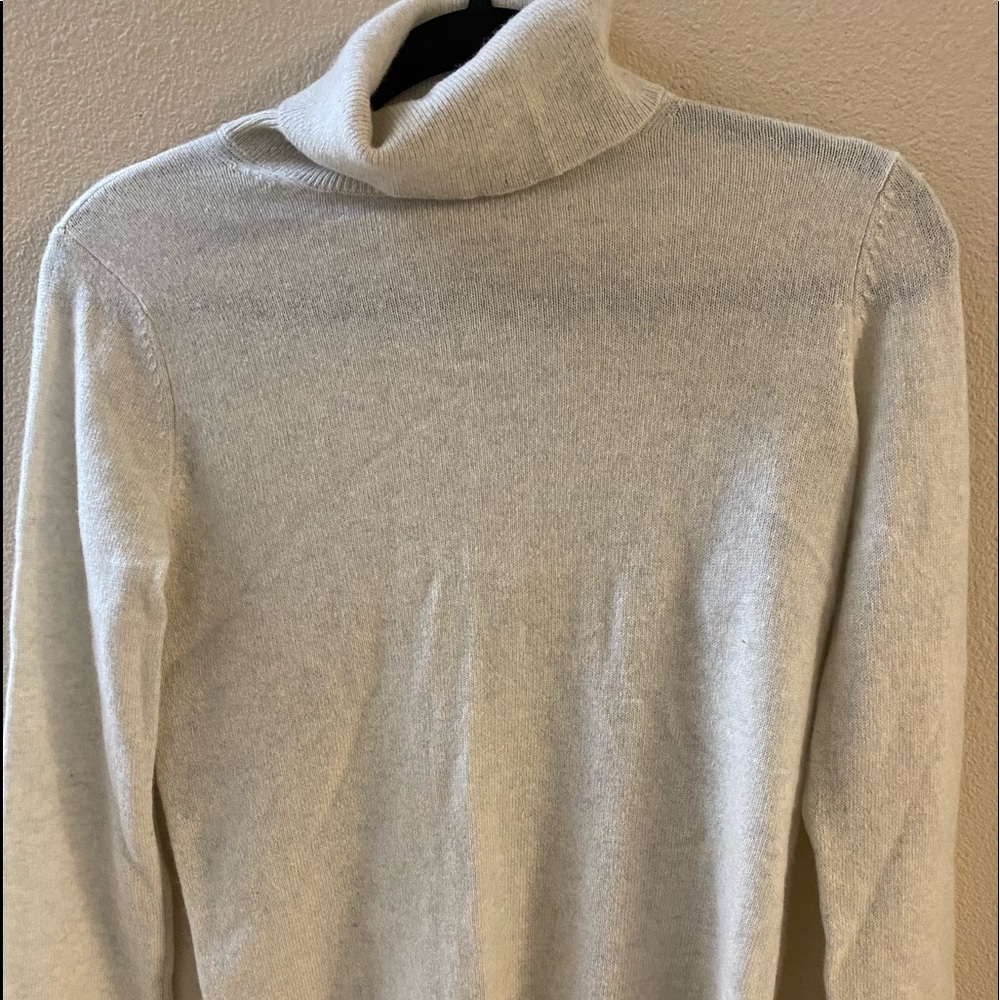 Light gray Cashmere turtleneck.